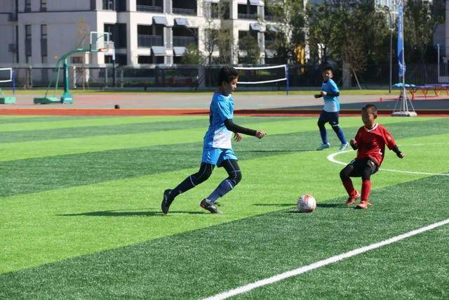 新教皇喜欢打网球 比起公牛小熊更支持白袜